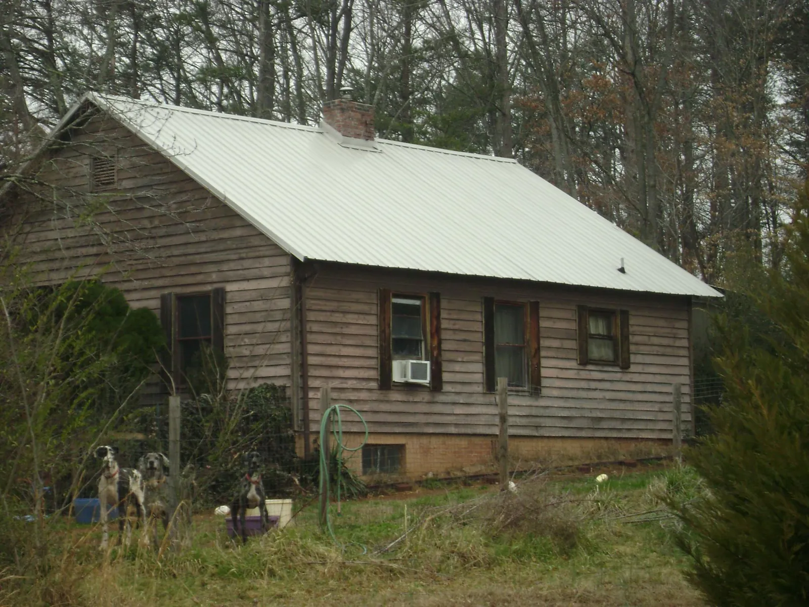 White metal roof on an old wood sided farmhouse, from a Asphalt Shingle Roof Repair job in Reddell